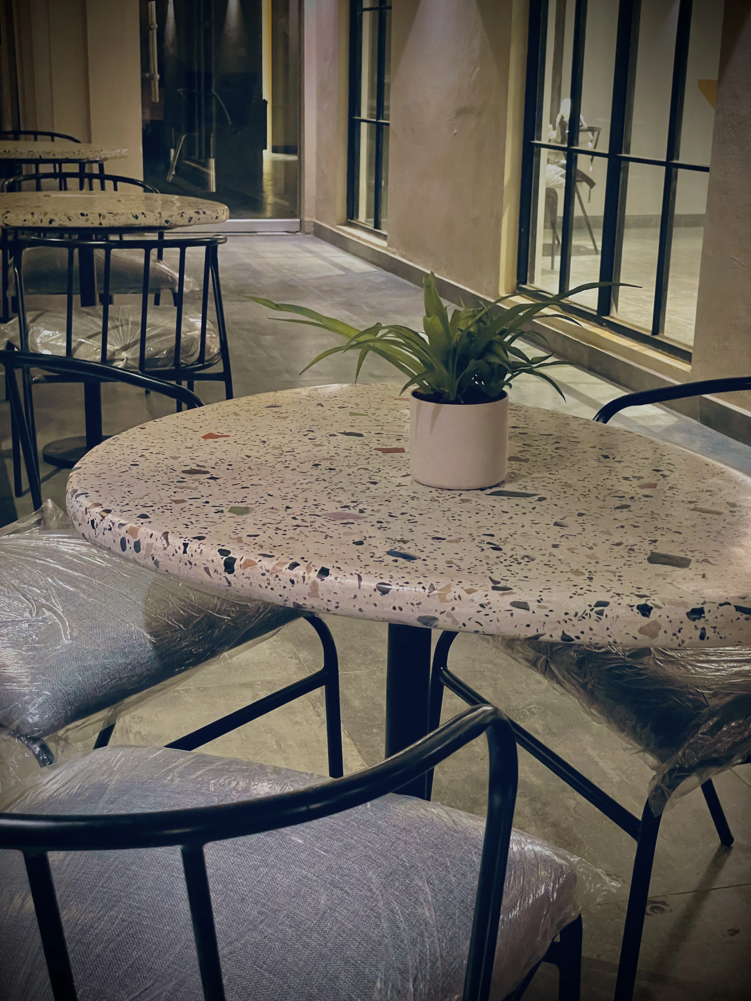 Apollo Coffee Shop — image 2